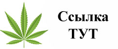 Купить наркотики в Козьмодемьянске